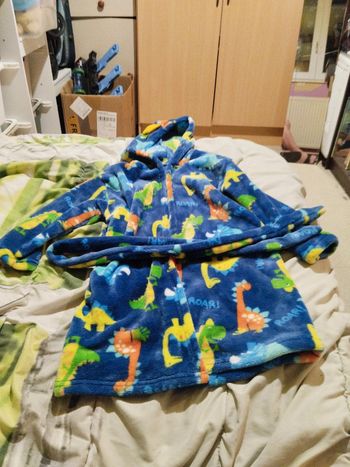 Robe de chambre dinosaure