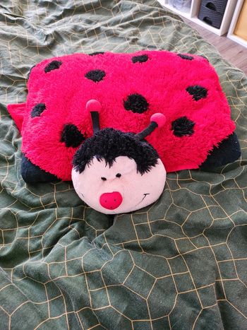 Pillow Pets