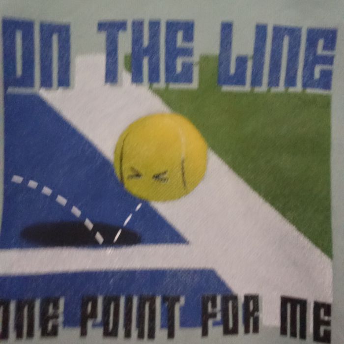 Sweat à capuche garçon taille 8 ans - photo numéro 3