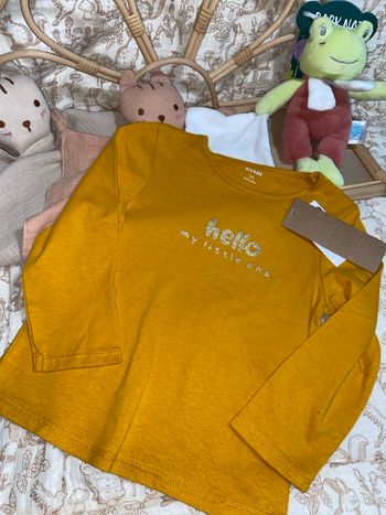 TEE shirt manches longues 2 ans 