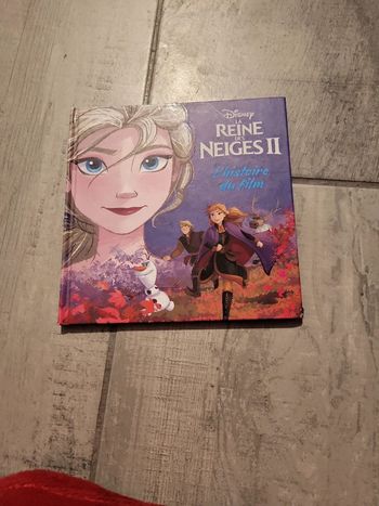 Livre la reine des neiges 2
