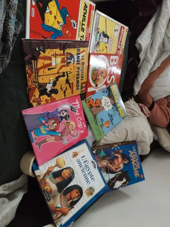 Lot de livres