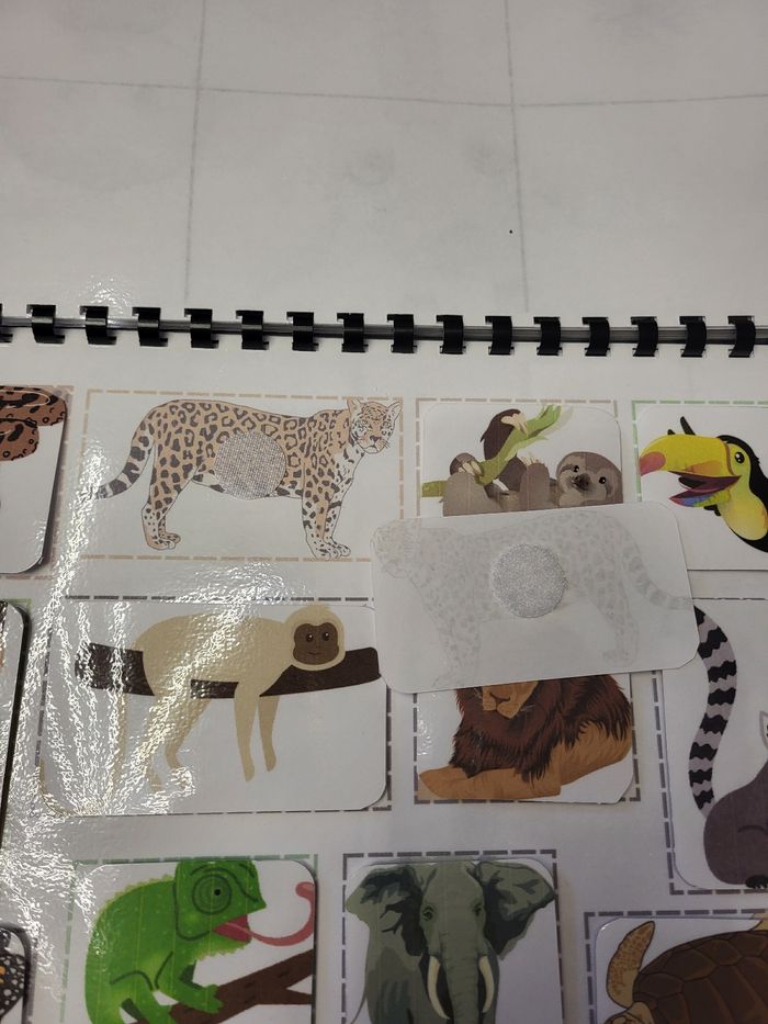 Livre d activités - photo numéro 9