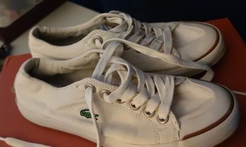 Baskets basses Lacoste, pointure 37, blanche