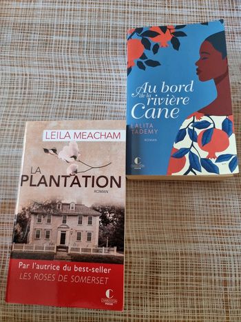 Lot 2 livres Charleston poche