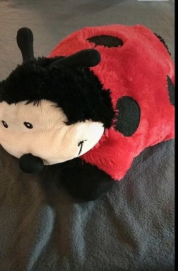 Coussin transformable en peluche coccinelle  40x40 cm