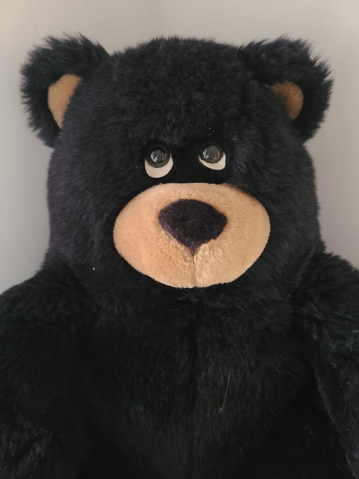 peluche ours - photo numéro 7