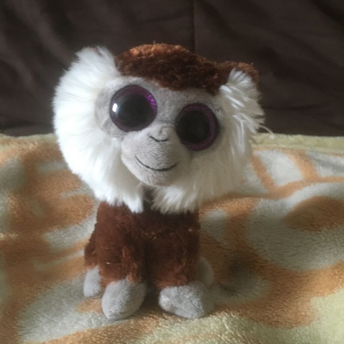 Peluche ty