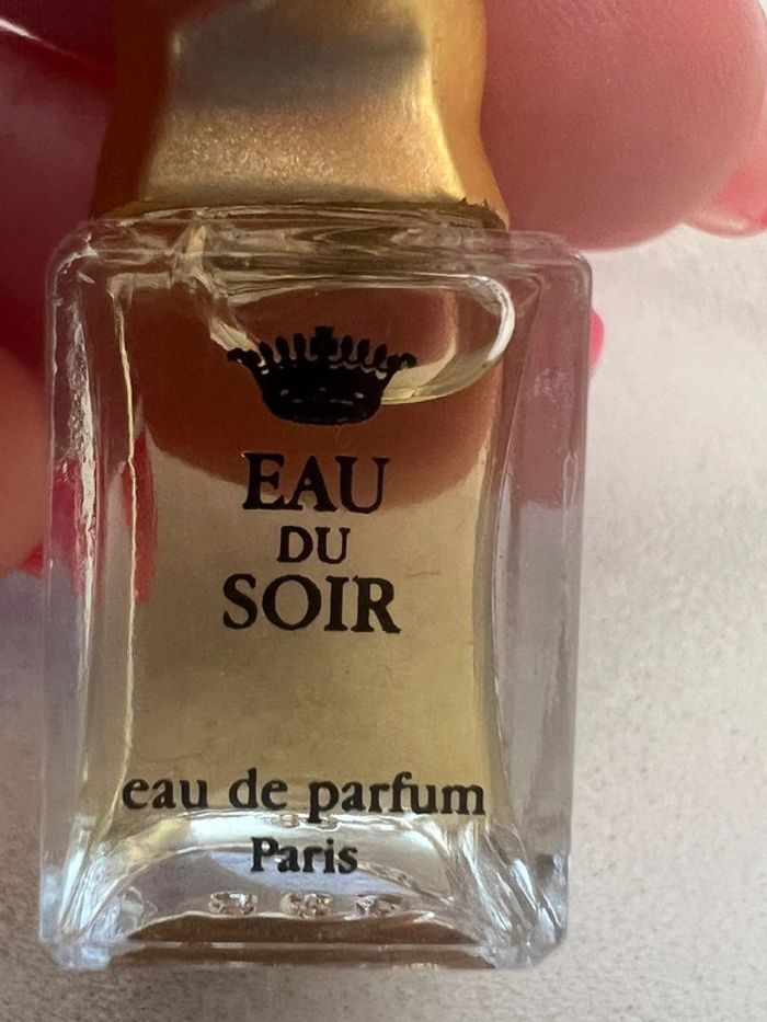 Miniature parfum Sisley Eau du soir - photo numéro 4
