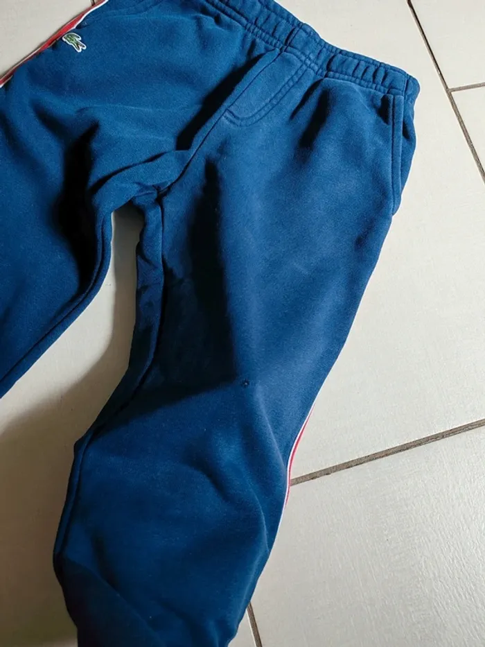 Joggings lacoste 8 ans - photo numéro 8