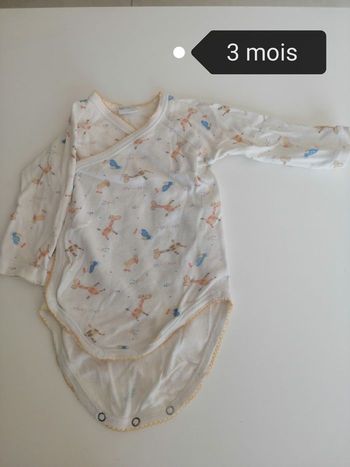 Bodie 3 mois