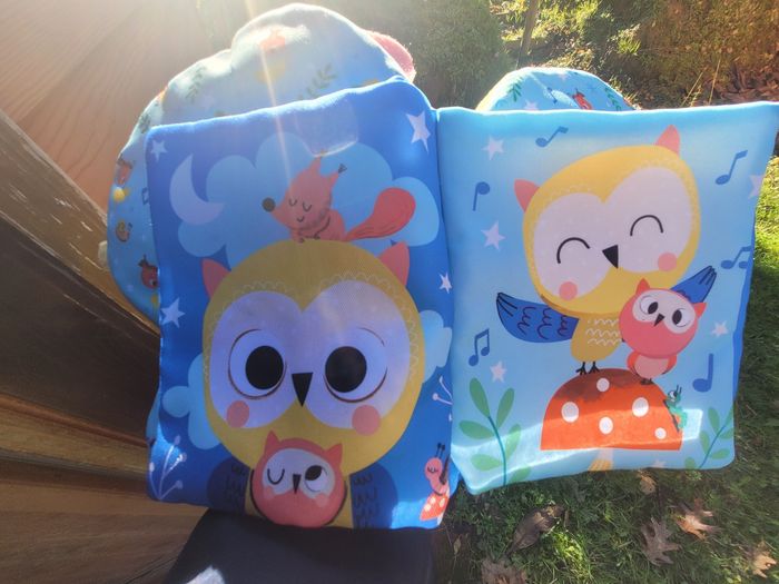 Lot de jouets 1er âge - photo numéro 6