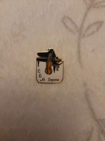 Pins ecole de musique seyssins