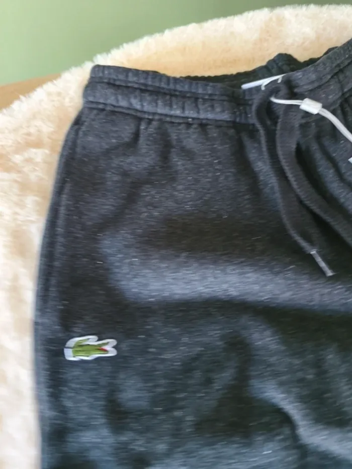 Jogging lacoste - photo numéro 3