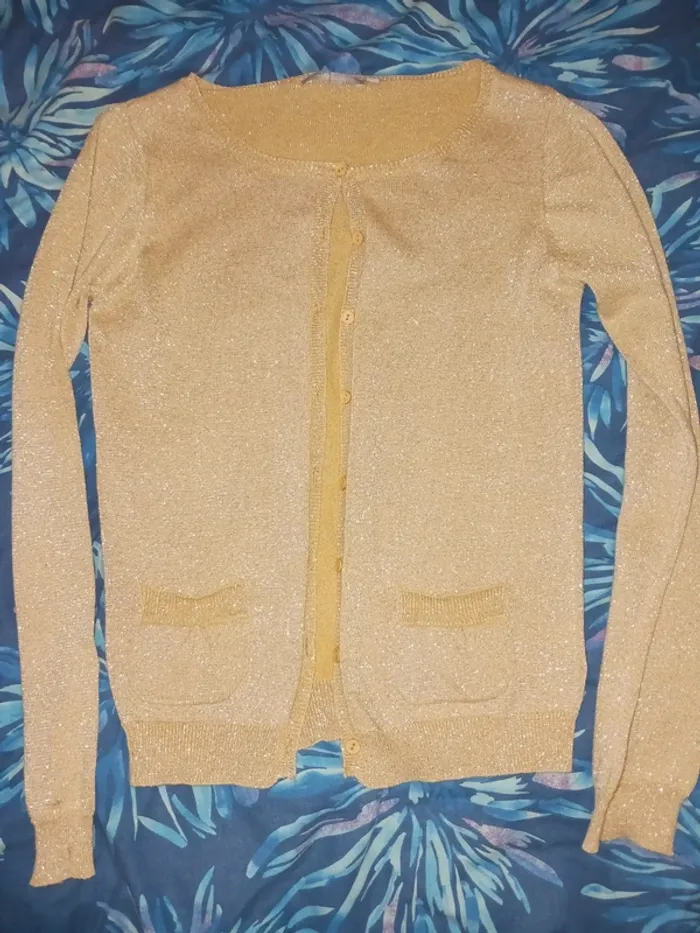 Lot pull et gilets 12 ans - photo numéro 2