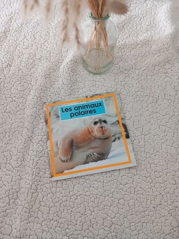Livre les animaux polaires