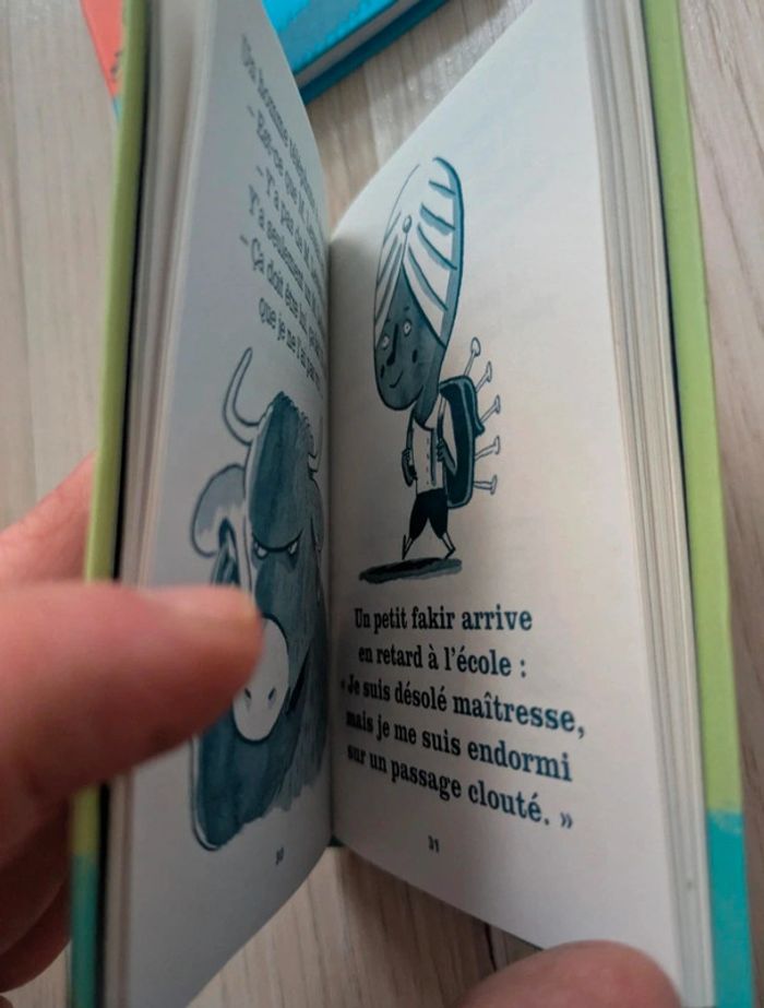 Lot de deux petits livres blagues - photo numéro 4