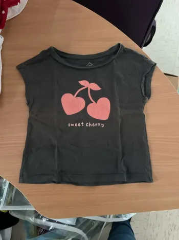 Lot 4 tee-shirts manche courtes
