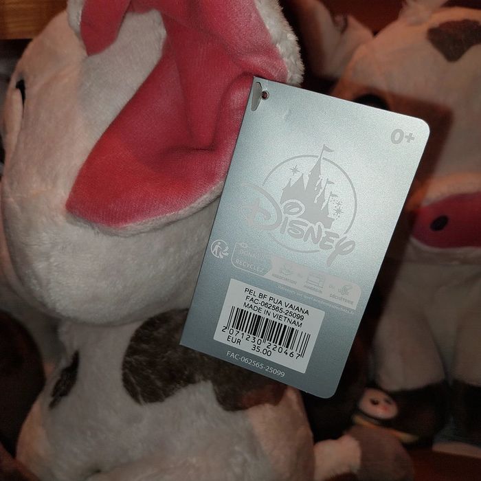Pick-up Pua Big feet Disney - photo numéro 3