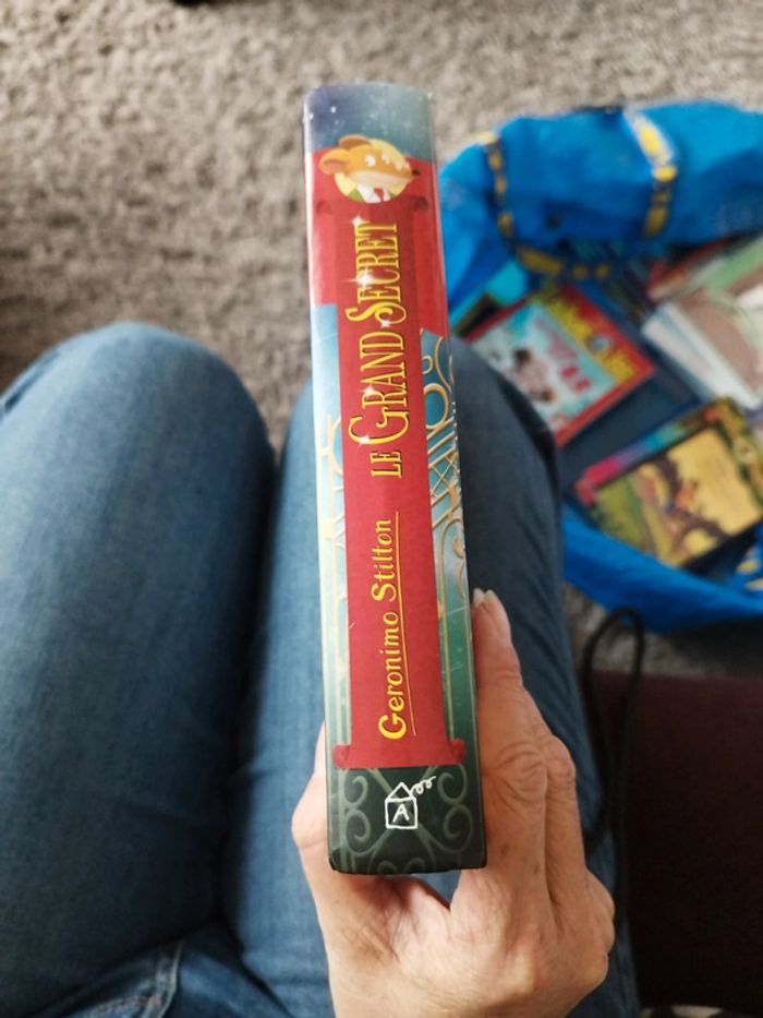 Geronimo stilton le grand secret - photo numéro 4