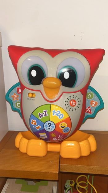 Hiboux FP multicolore