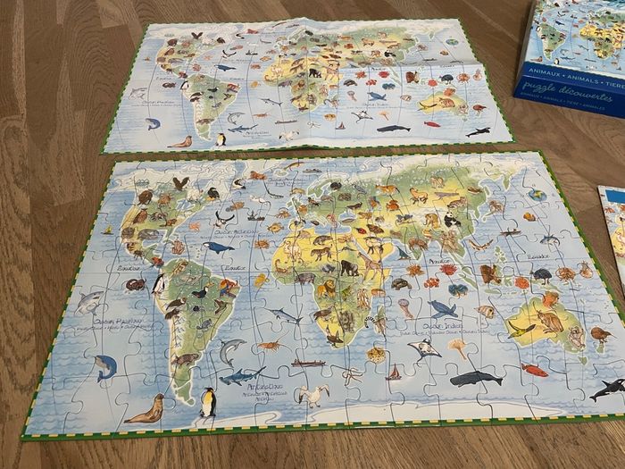 Puzzle découverte continent complet - photo numéro 2