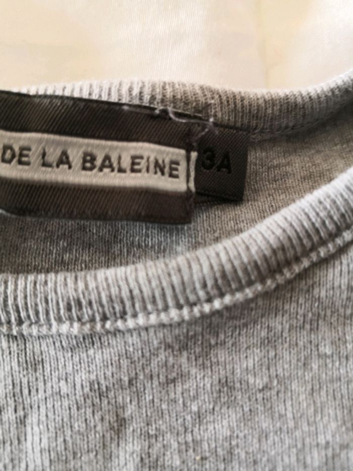 Baleine - photo numéro 3