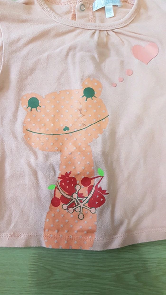T shirt grenouille 1 an - photo numéro 2
