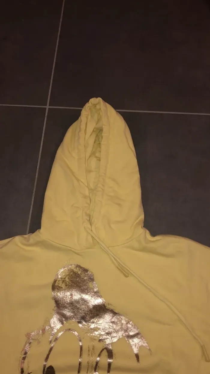 Sweat à capuche - photo numéro 3