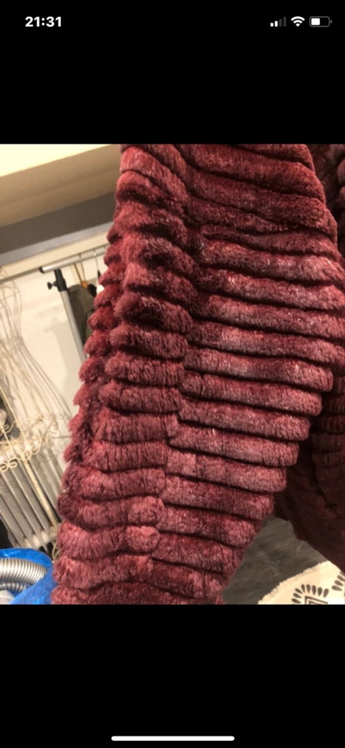 Manteaux - photo numéro 5