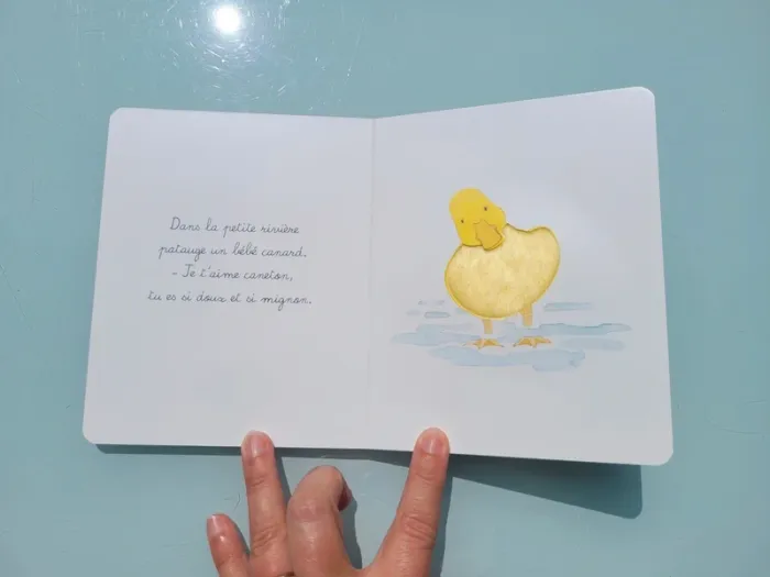 Coffret 3 livres tout carton Montessori 🐈 Bébé Balthazar, Ma première bibliothèque Montessori - photo numéro 18
