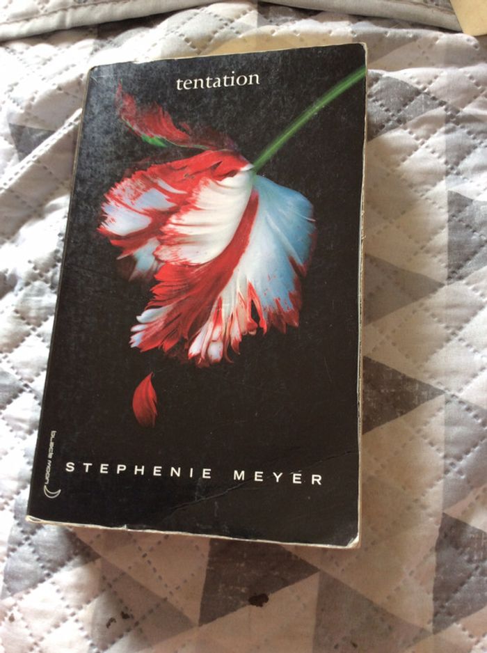#tentation par Stephenie Meyer - photo numéro 2