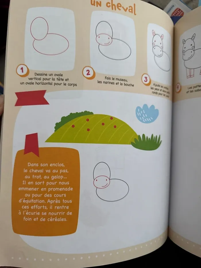Livre d’exercice, j’apprends à dessiner pas à pas - photo numéro 3