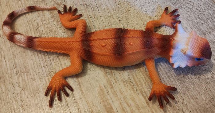 lot de lézards et dragon - photo numéro 2