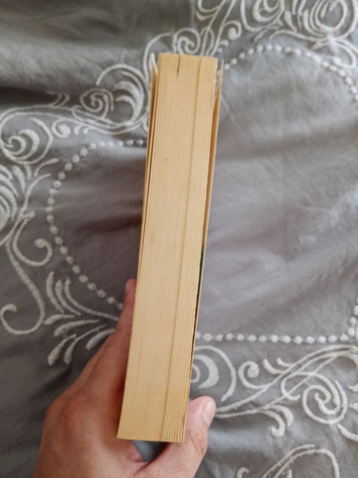 Livre (45) 📚 Les mésaventures de Minty Malone - photo numéro 4