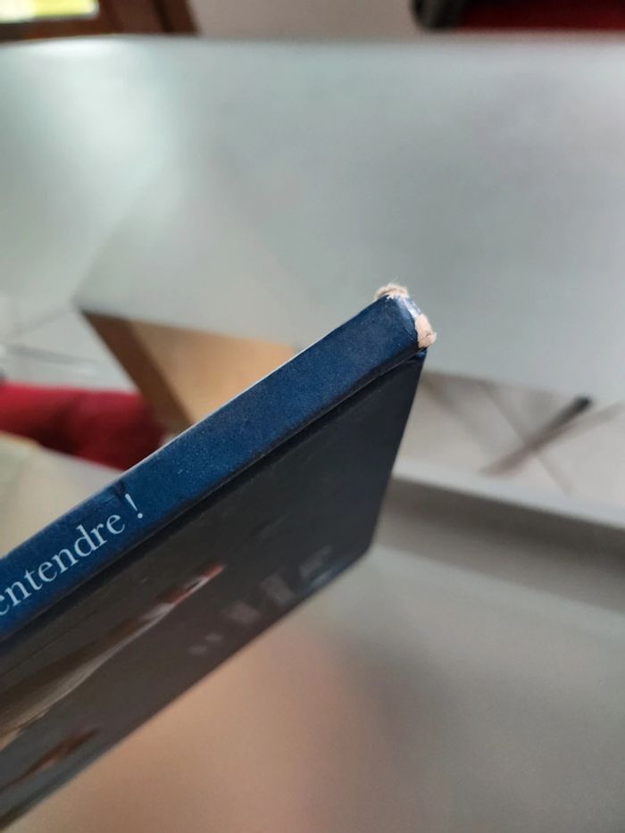 Livre jeunesse Chut, le roi pourrait t'entendre ! - photo numéro 3