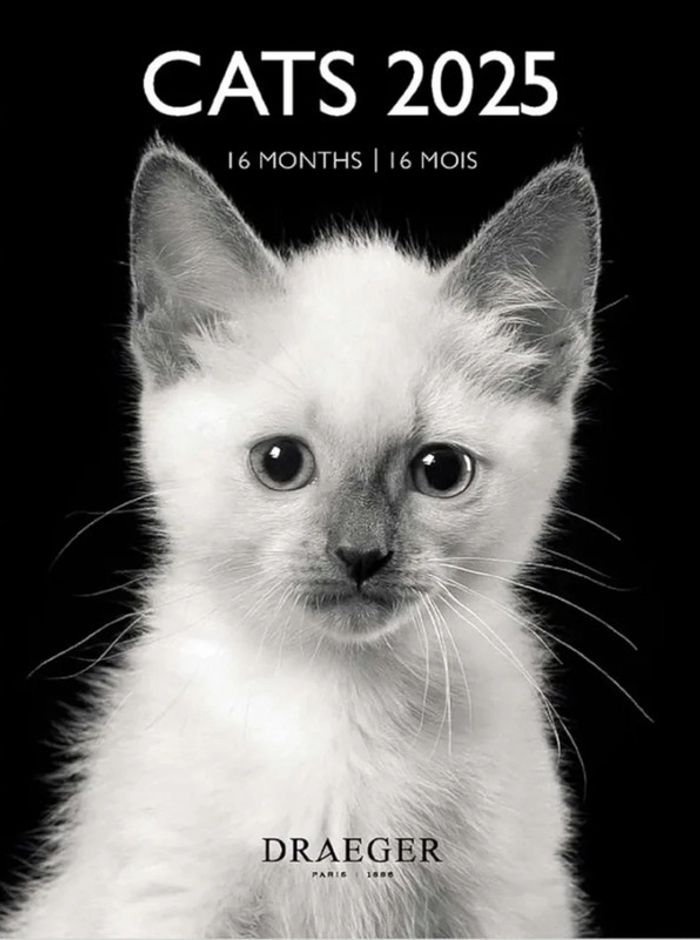 ⭐ Calendrier 2025 #emyfleury_calendriers