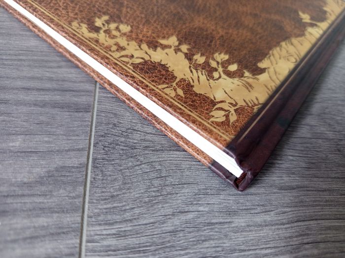 Le rat à la plume - le rat conteur d'histoires 2015 - photo numéro 6