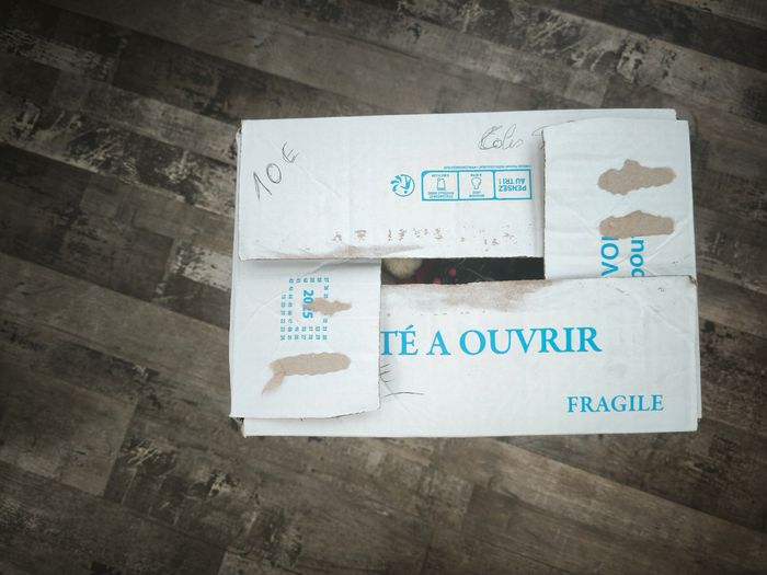 Colis mystère - photo numéro 2