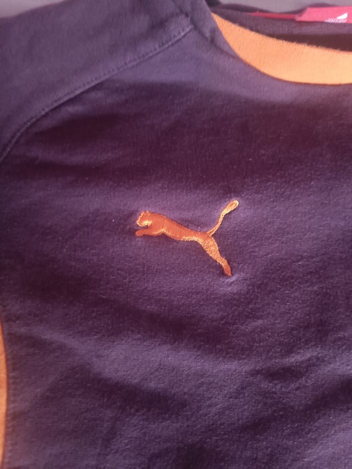 Pull puma - photo numéro 2