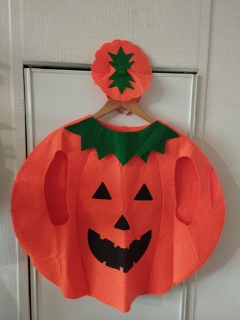 Déguisement enfant taille unique