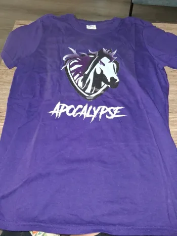 Tee shirt Softstyle