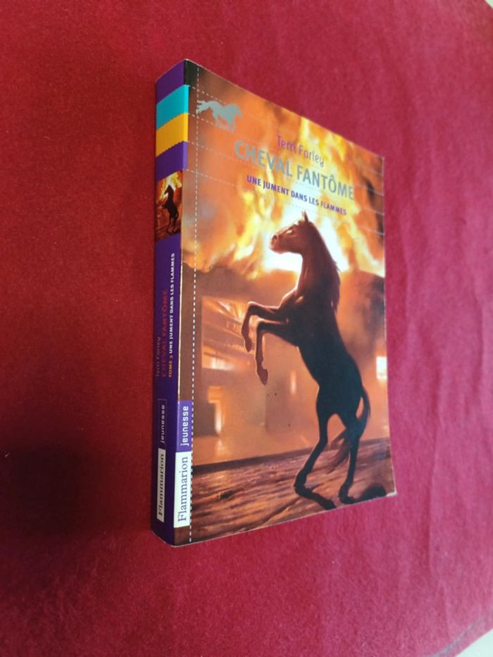 Cheval fantôme Tome 3 " Une jument dans les flammes " Terri Farley