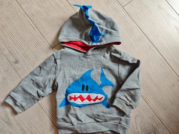 Pull à capuche 18 mois