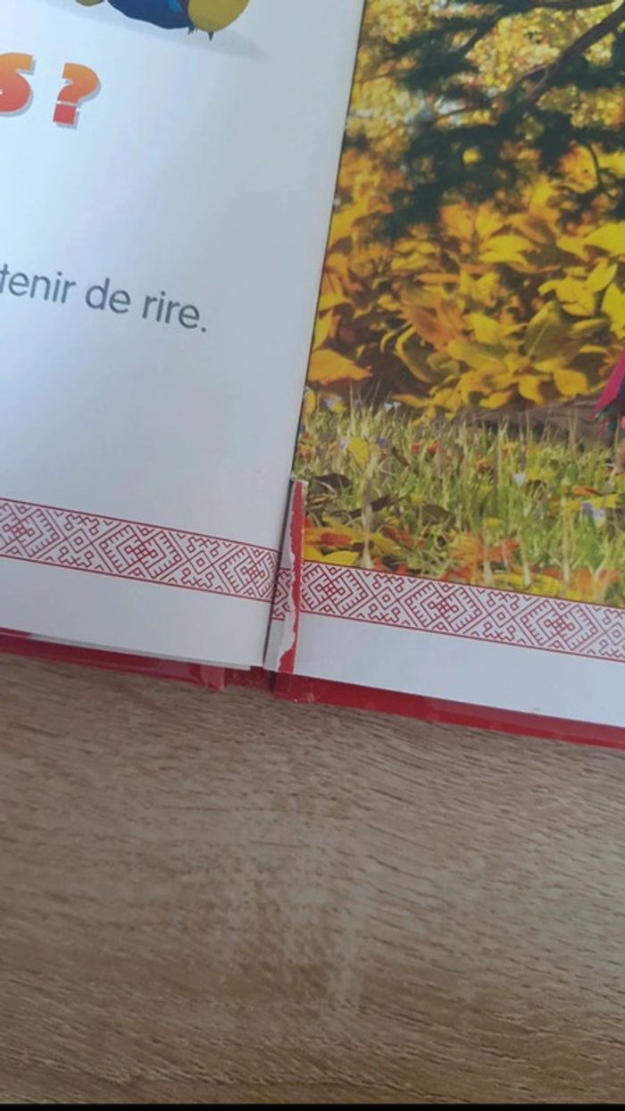 Livre masha et michka - photo numéro 5