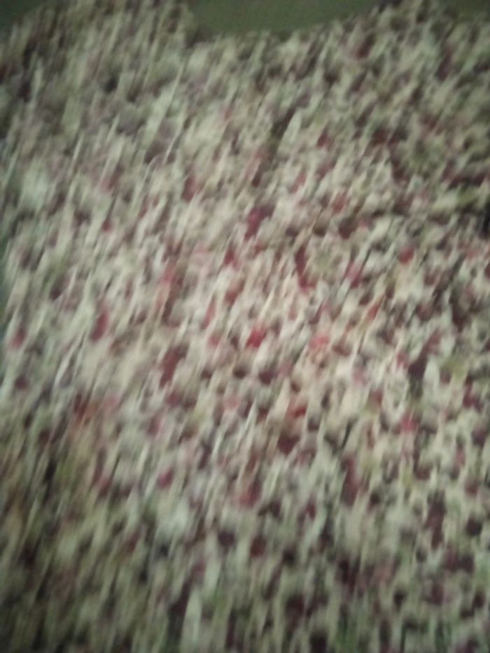 Tunique nina kalio taille 2 - photo numéro 6