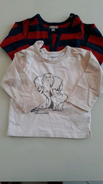 2 tee shirts manches longues 24 mois