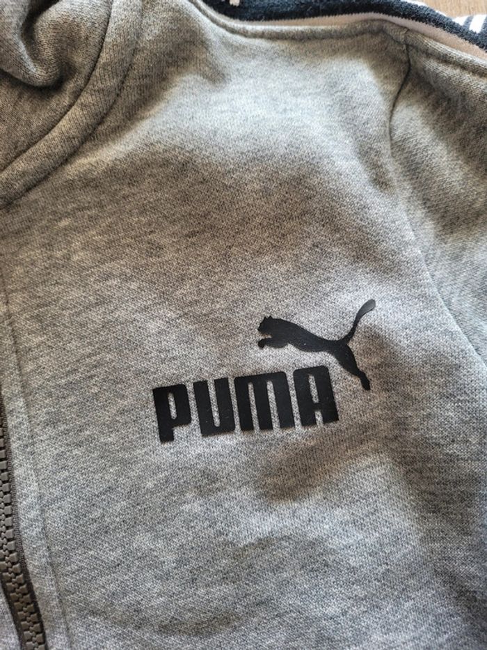 Gilet puma 8 ans - photo numéro 2