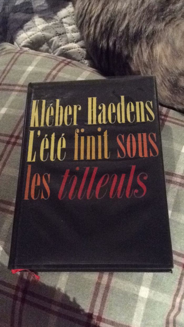 L’été Finit sous les tilleuls Mar Michel Haedens - photo numéro 2