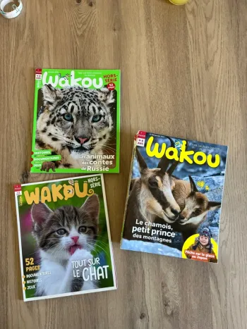 Magazine Wakou